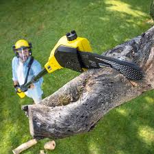 Best Lawn Mowing  in Grosse Pointe Farms, MI